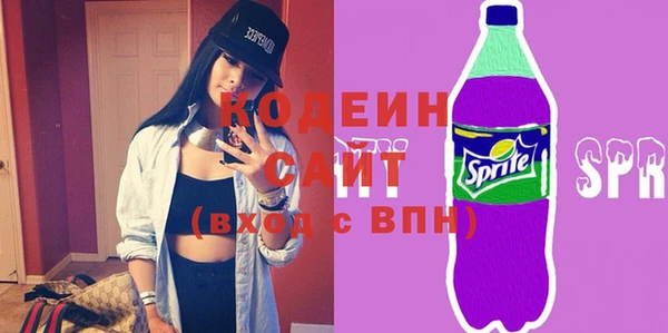 мдпв Каменка
