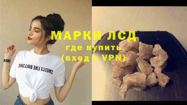 мдпв Каменка
