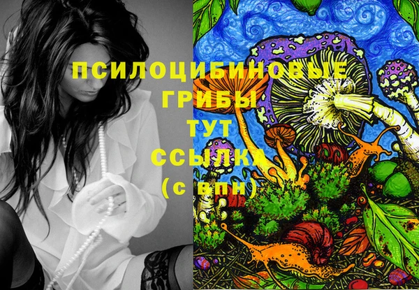 мдпв Каменка