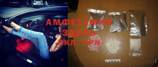 мдпв Каменка
