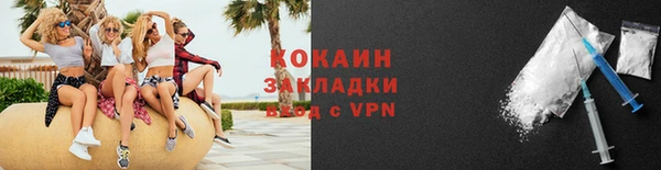 мдпв Каменка