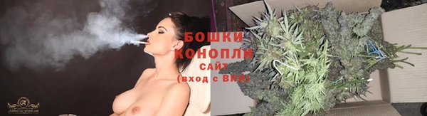 молекула духа Каменск-Шахтинский