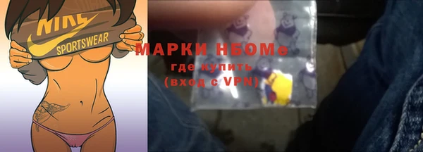 мдпв Каменка