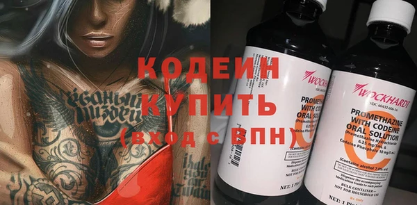 мдпв Каменка