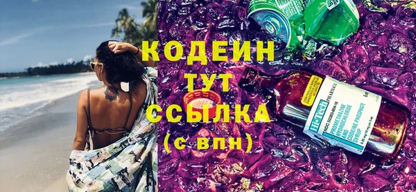 мдпв Каменка