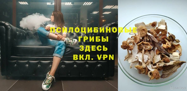 мдпв Каменка