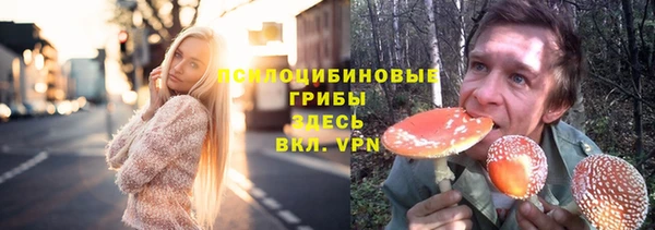 мдпв Каменка