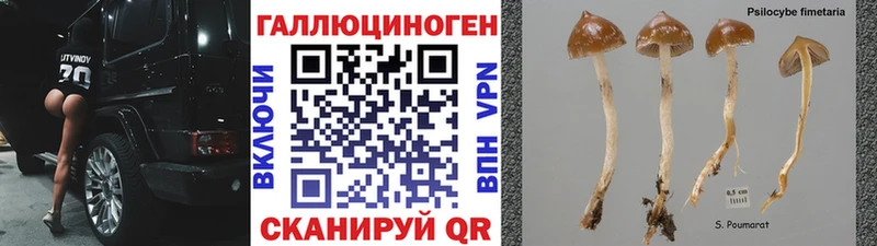 Псилоцибиновые грибы Magic Shrooms Черкесск