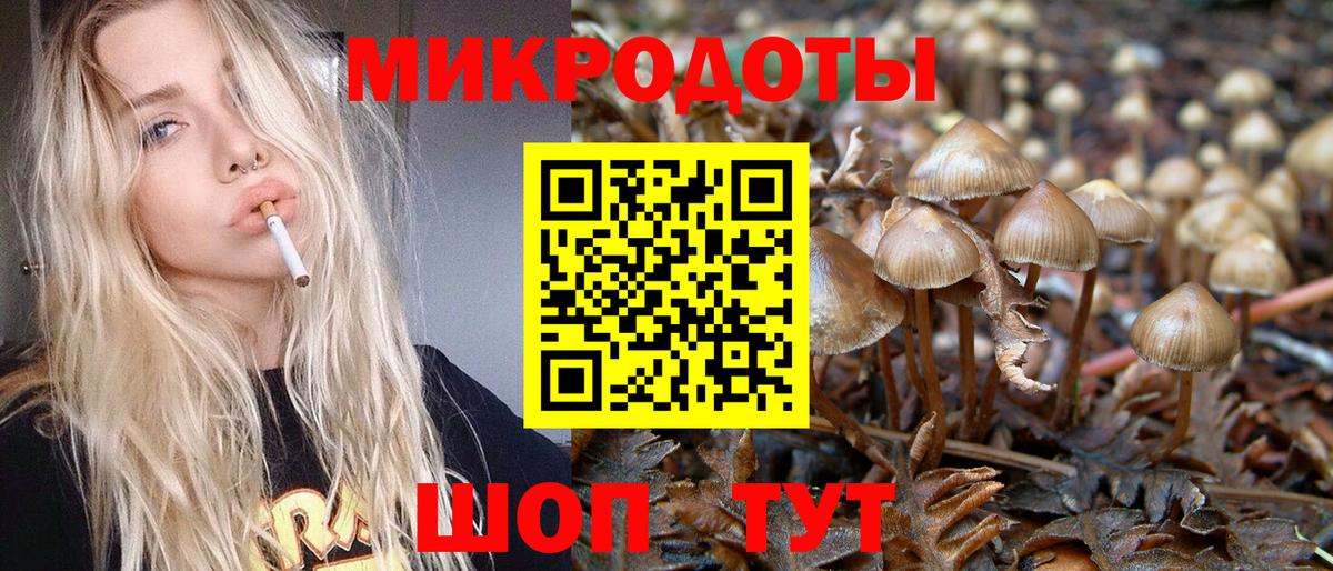 Псилоцибиновые грибы мицелий Черкесск