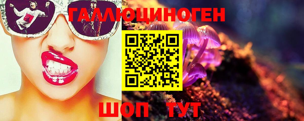 Черкесск  купить наркотики цена  Вход с VPN  Псилоцибиновые грибы мицелий 