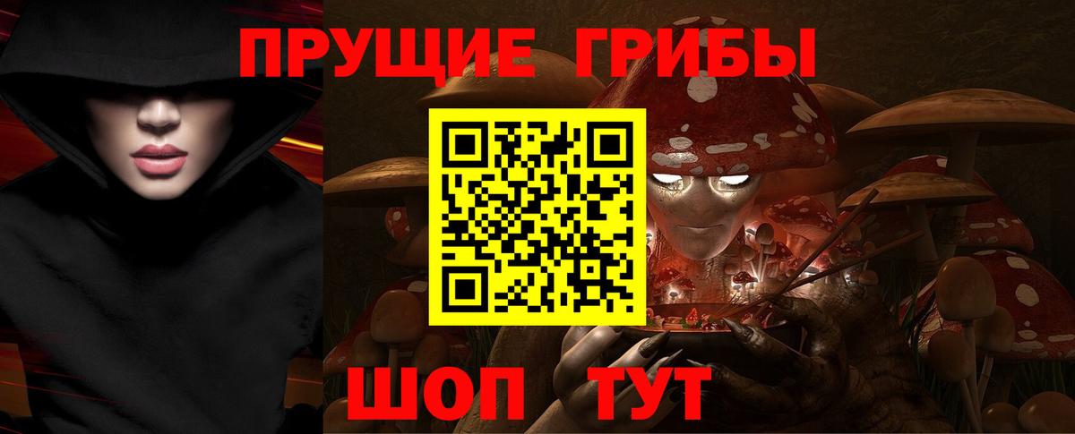 Галлюциногенные грибы Psilocybine cubensis  где продают   Псилоцибиновые грибы мицелий  Черкесск 